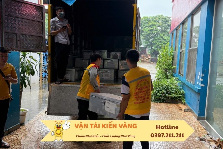 taxi-tai-kien-vang