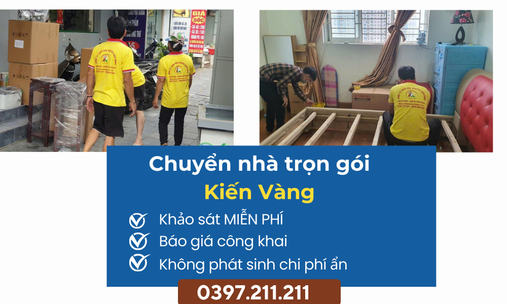 chuyen-nha-tron-goi-kien-vang (5)