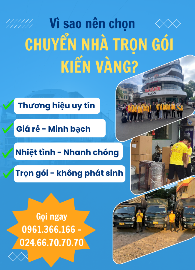 chuyen-nha-kien-vang2