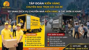 chuyen-nha-tron-goi-kien-vang9