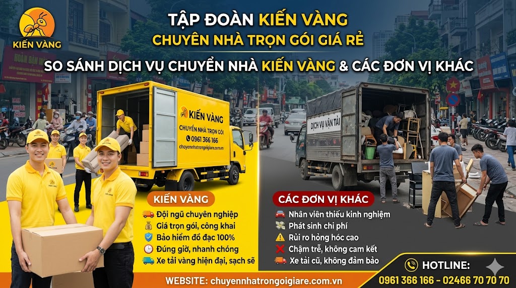 chuyen-nha-tron-goi-kien-vang9
